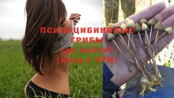 стафф Верея