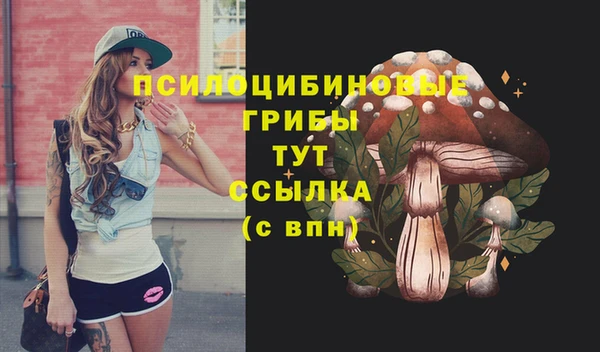 стафф Верея