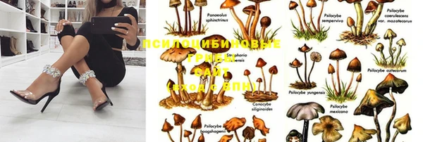 стафф Верея