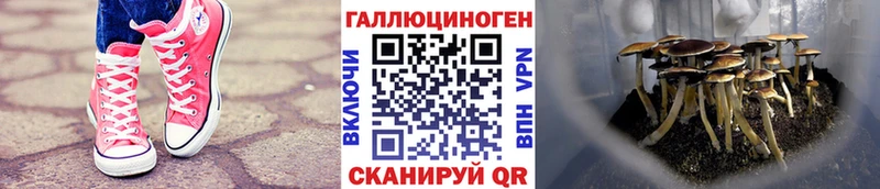 Галлюциногенные грибы GOLDEN TEACHER  Улан-Удэ 